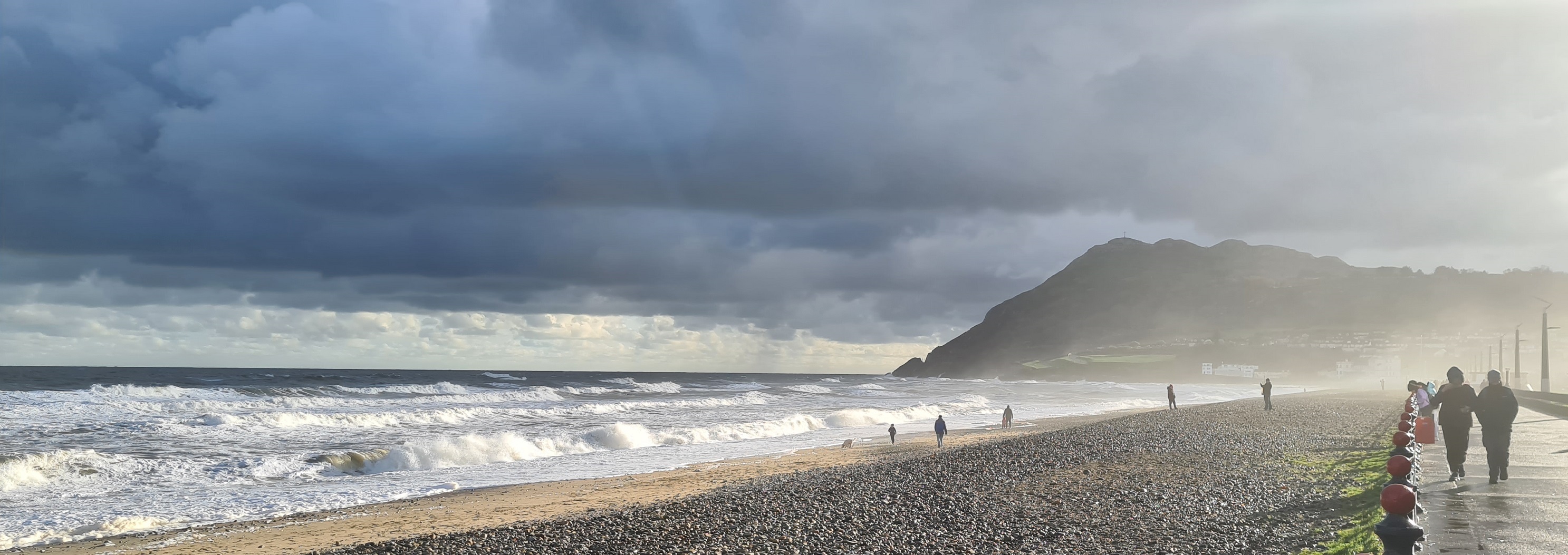 20201205_Bray_0.jpg