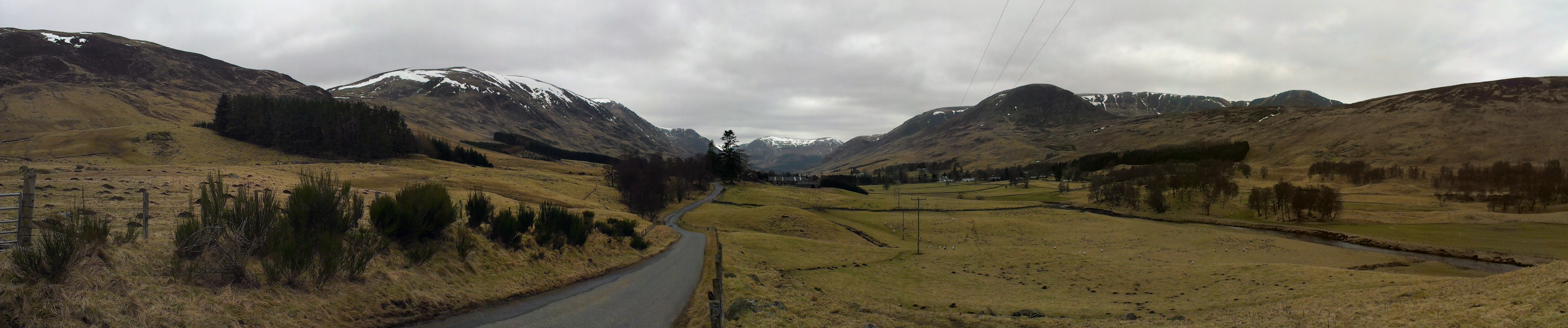 IMAG0801.jpg