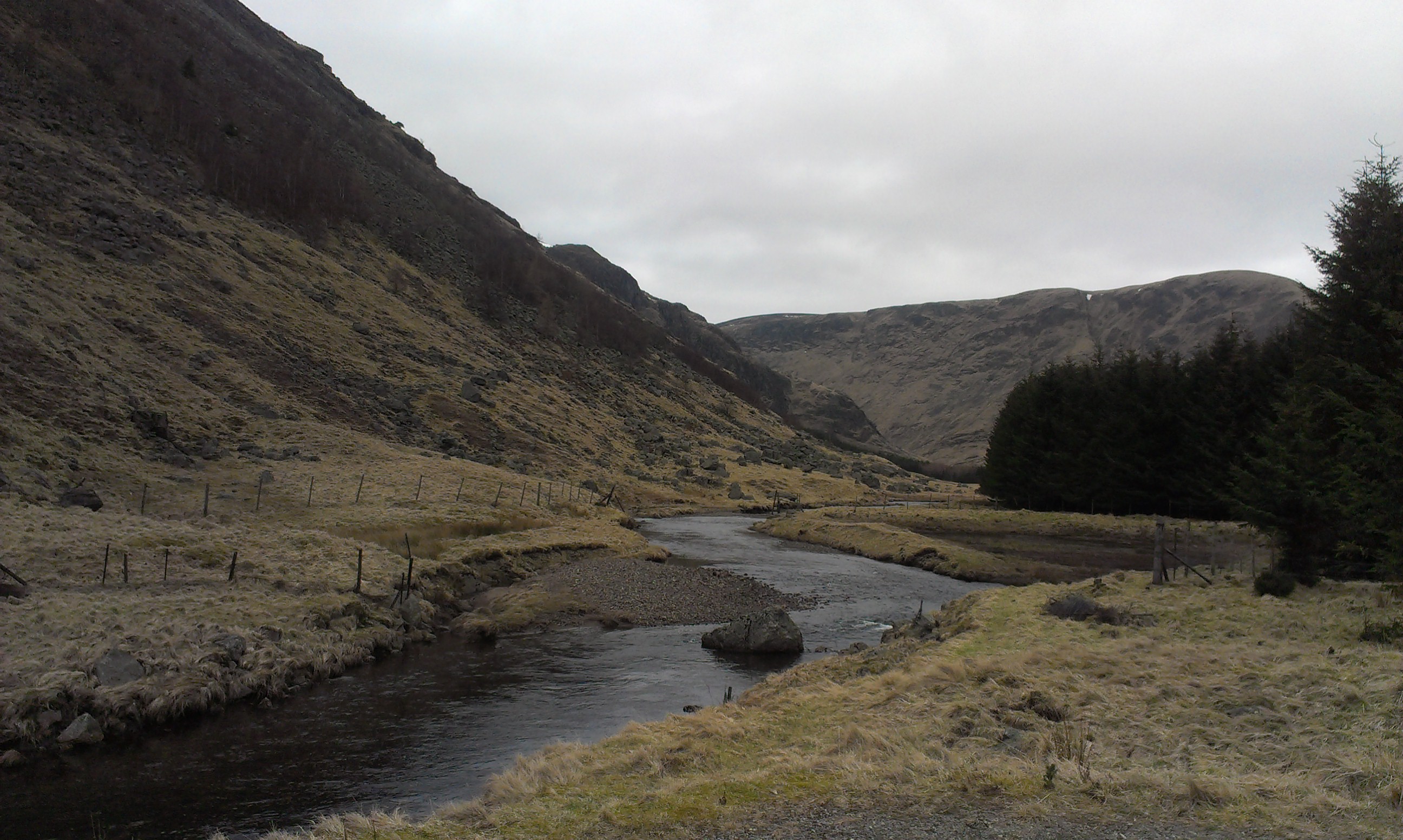 IMAG0814.jpg