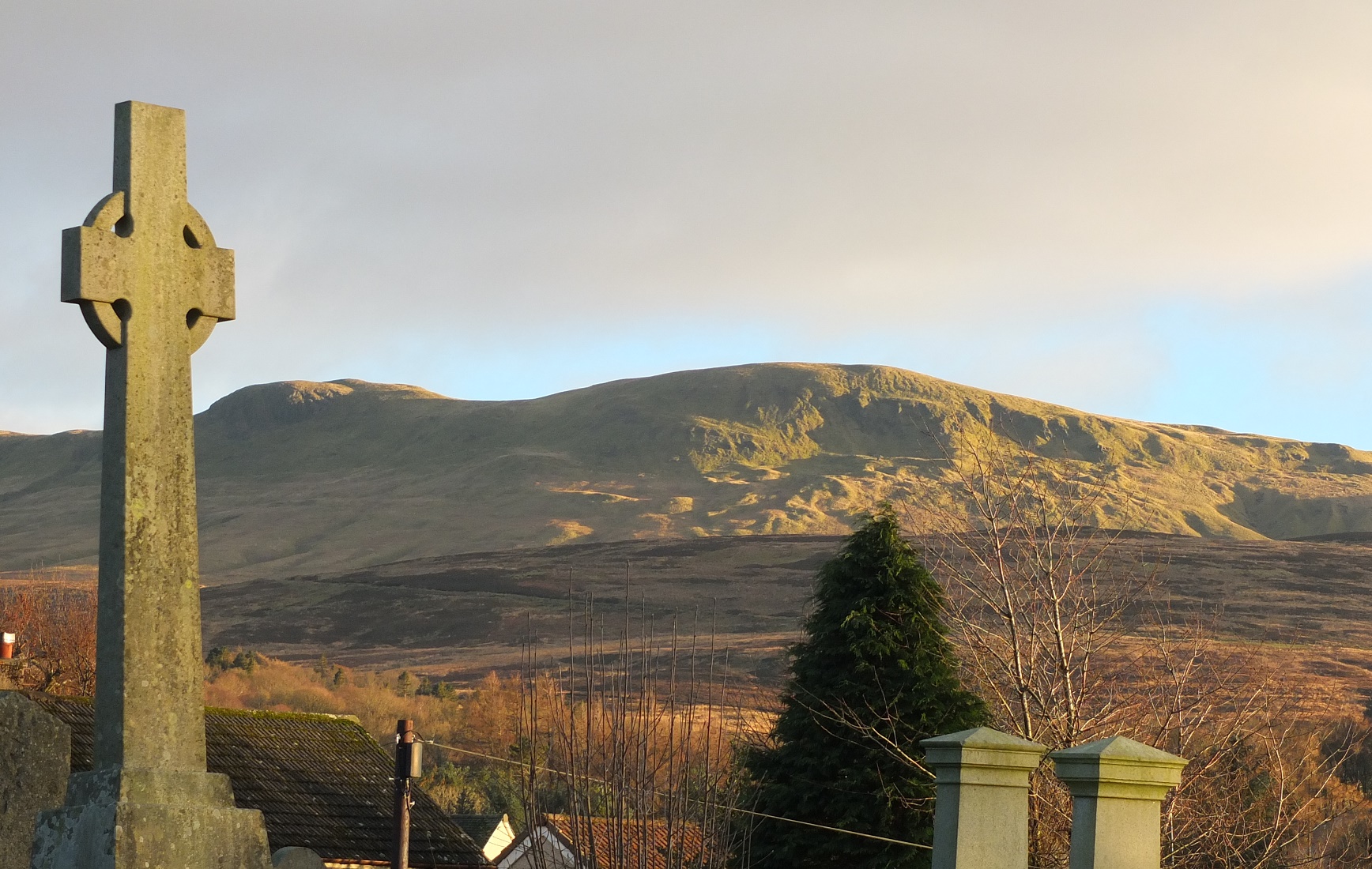 DSCF4809.jpg