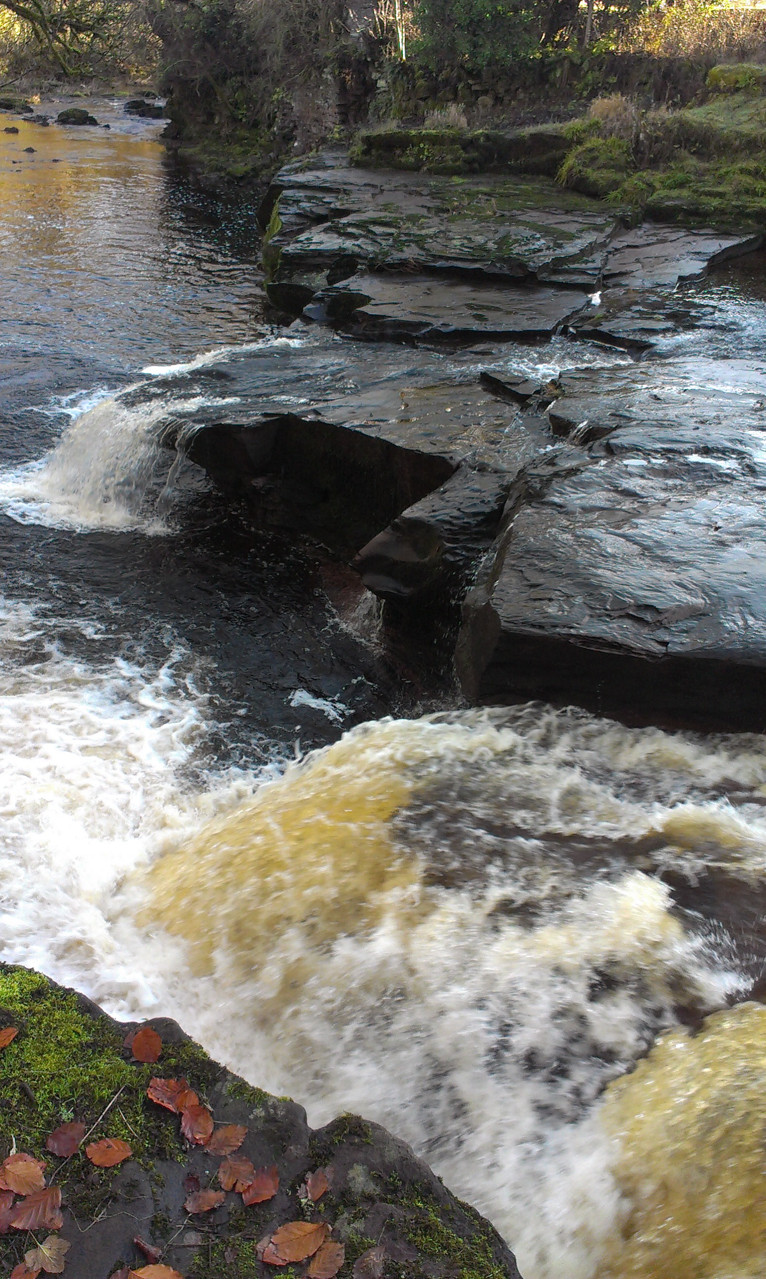 IMAG0716.jpg