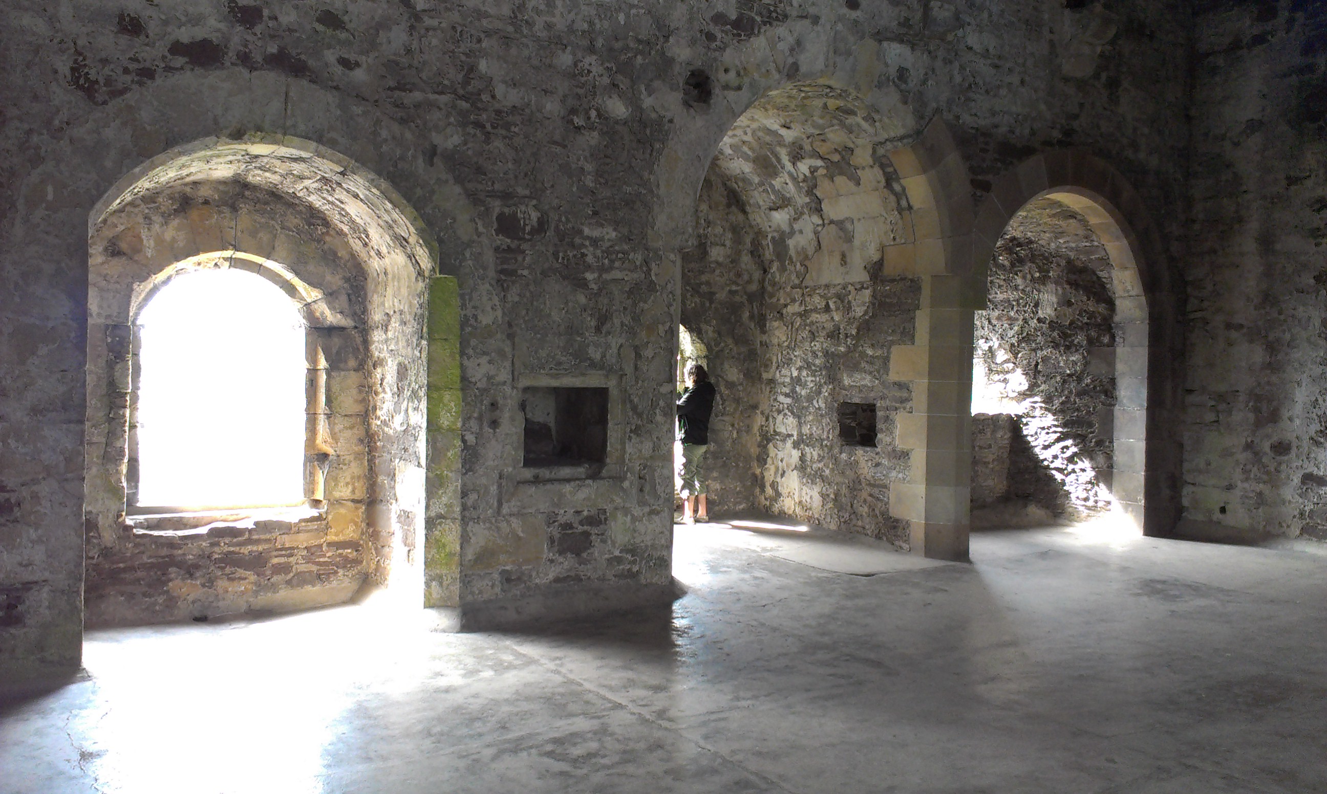 IMAG0995.jpg