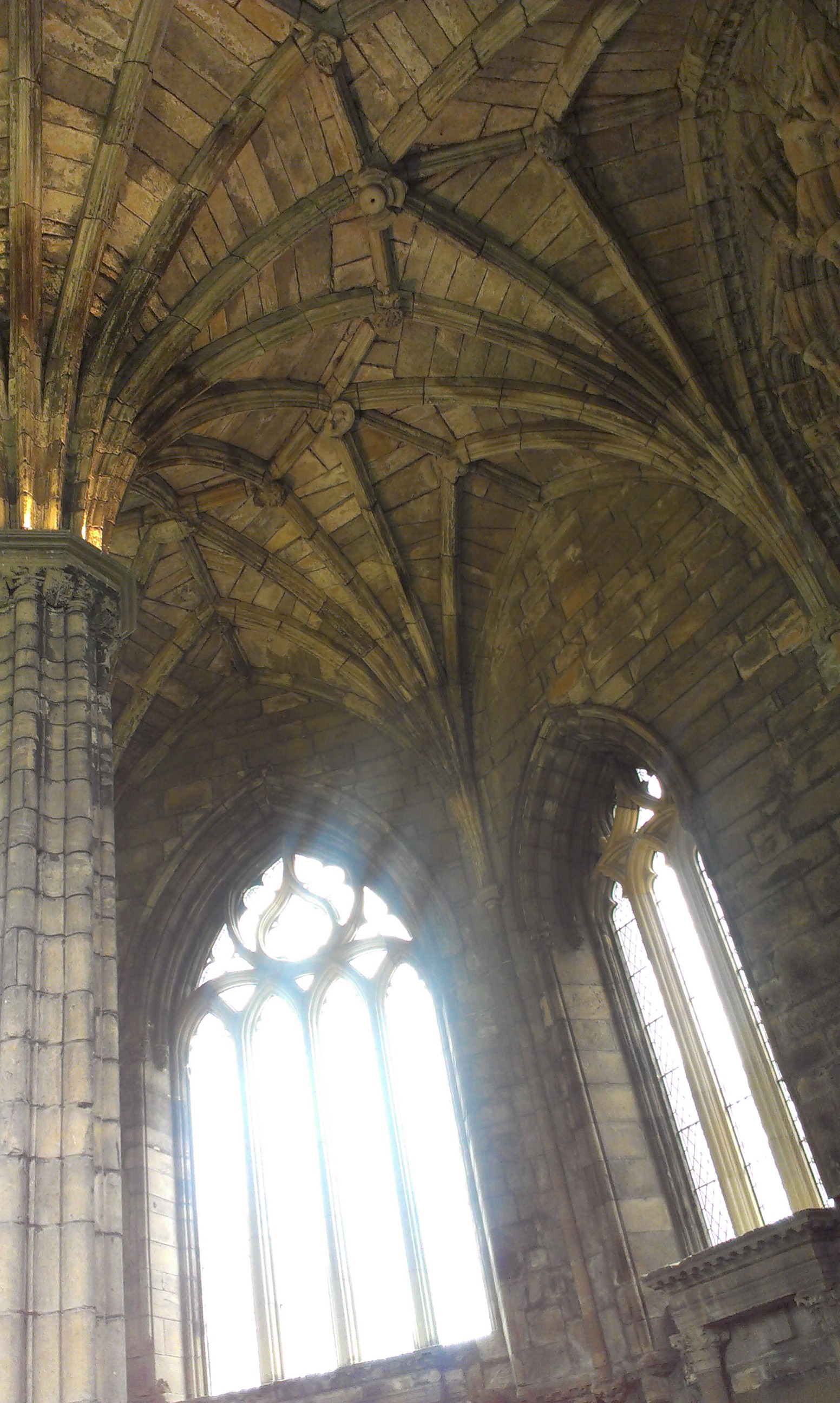 IMAG0444.jpg
