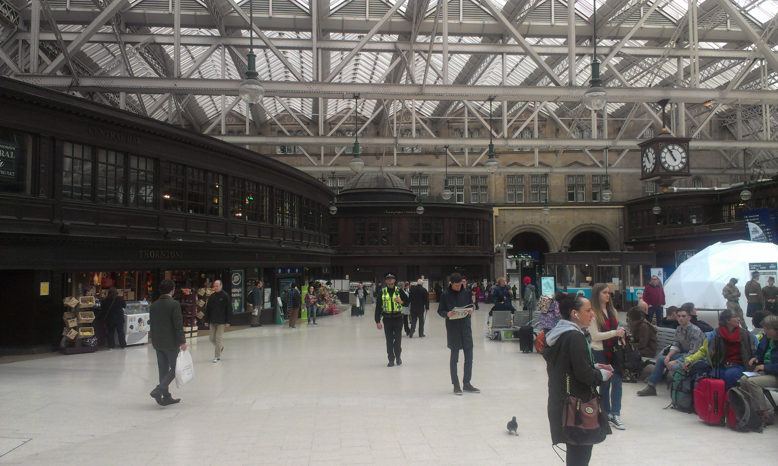 IMAG0646.jpg