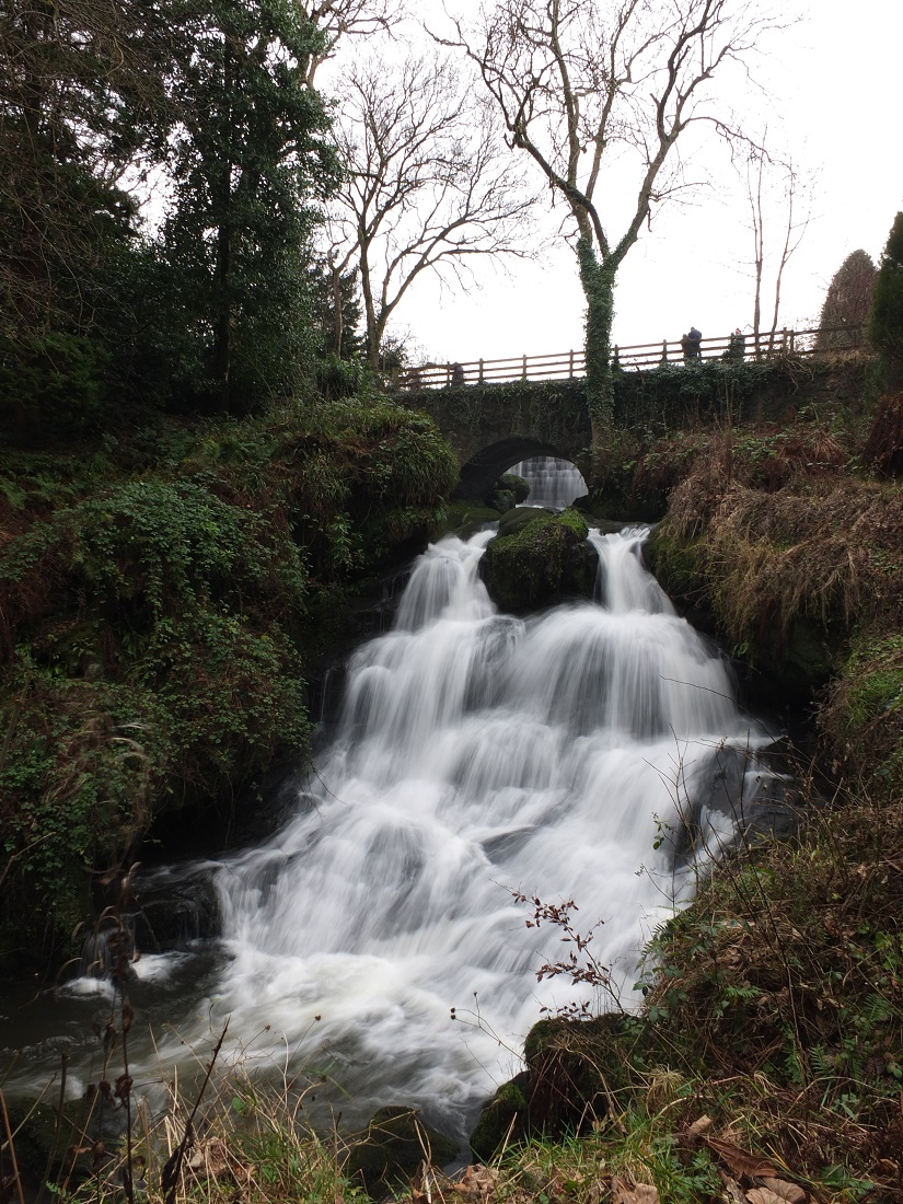 DSCF4697.jpg