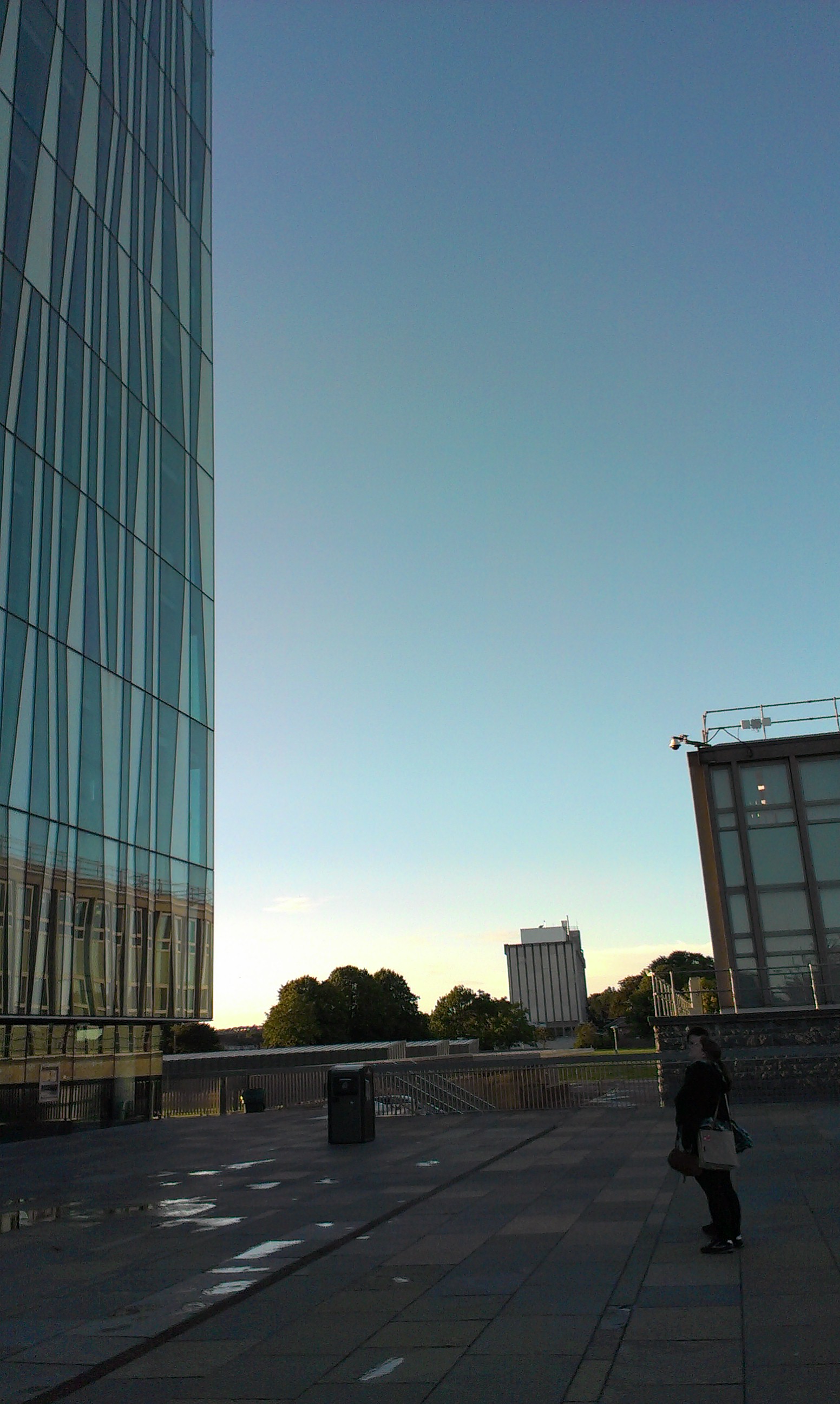 IMAG0110.jpg