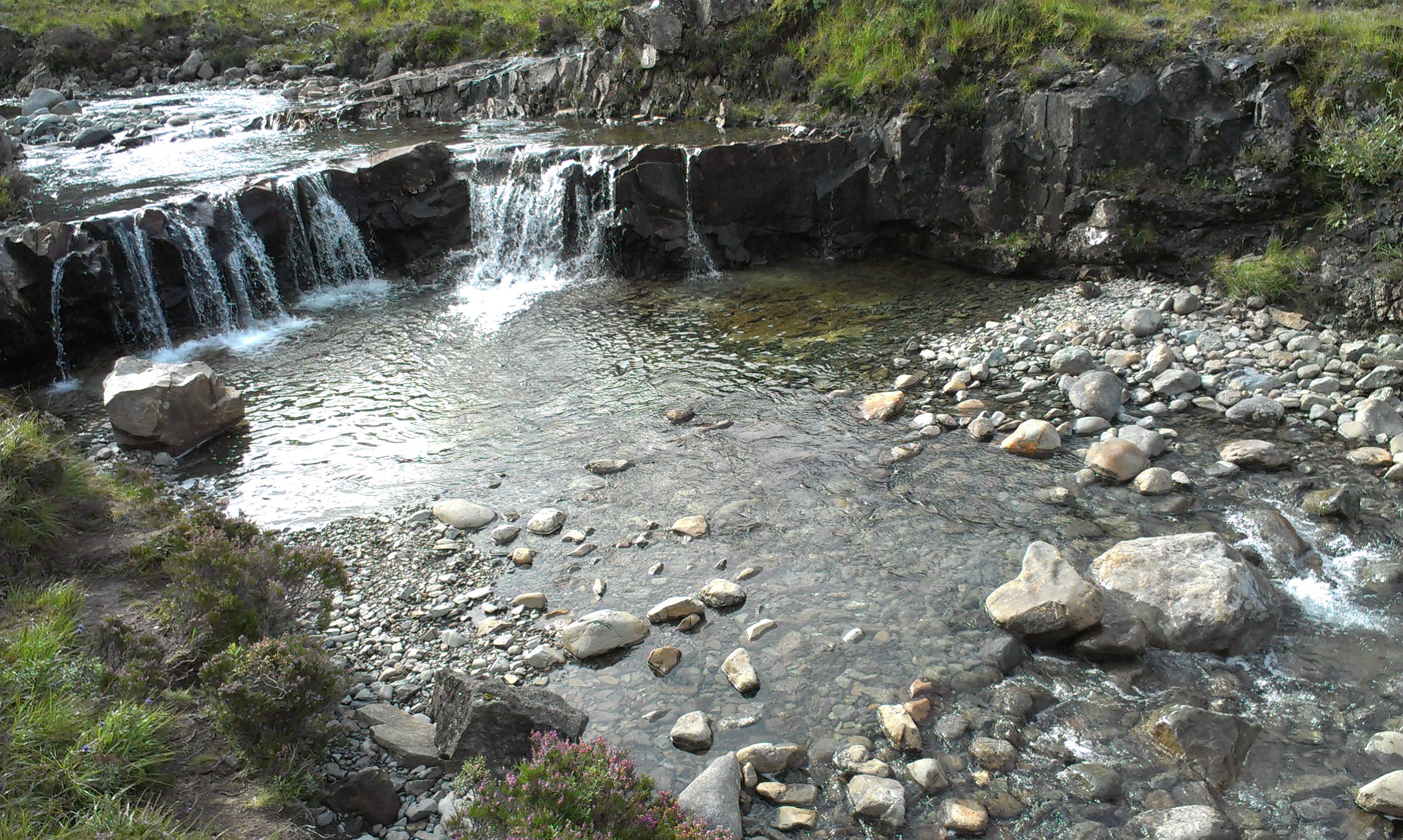 IMAG0511.jpg