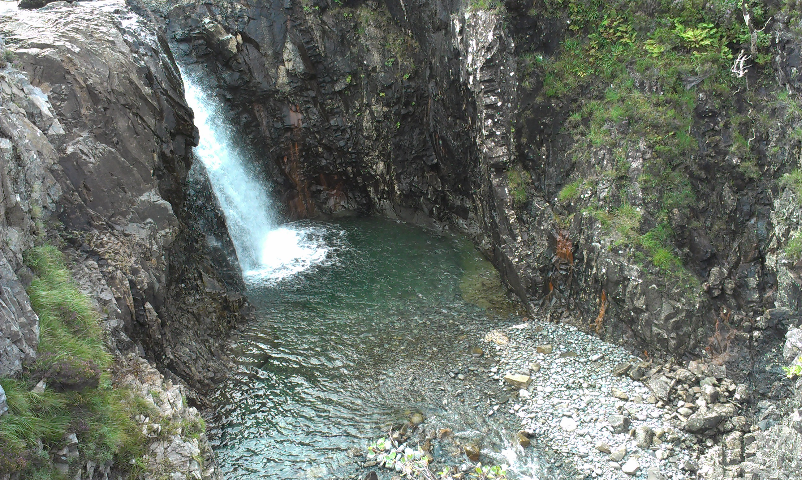 IMAG0520.jpg