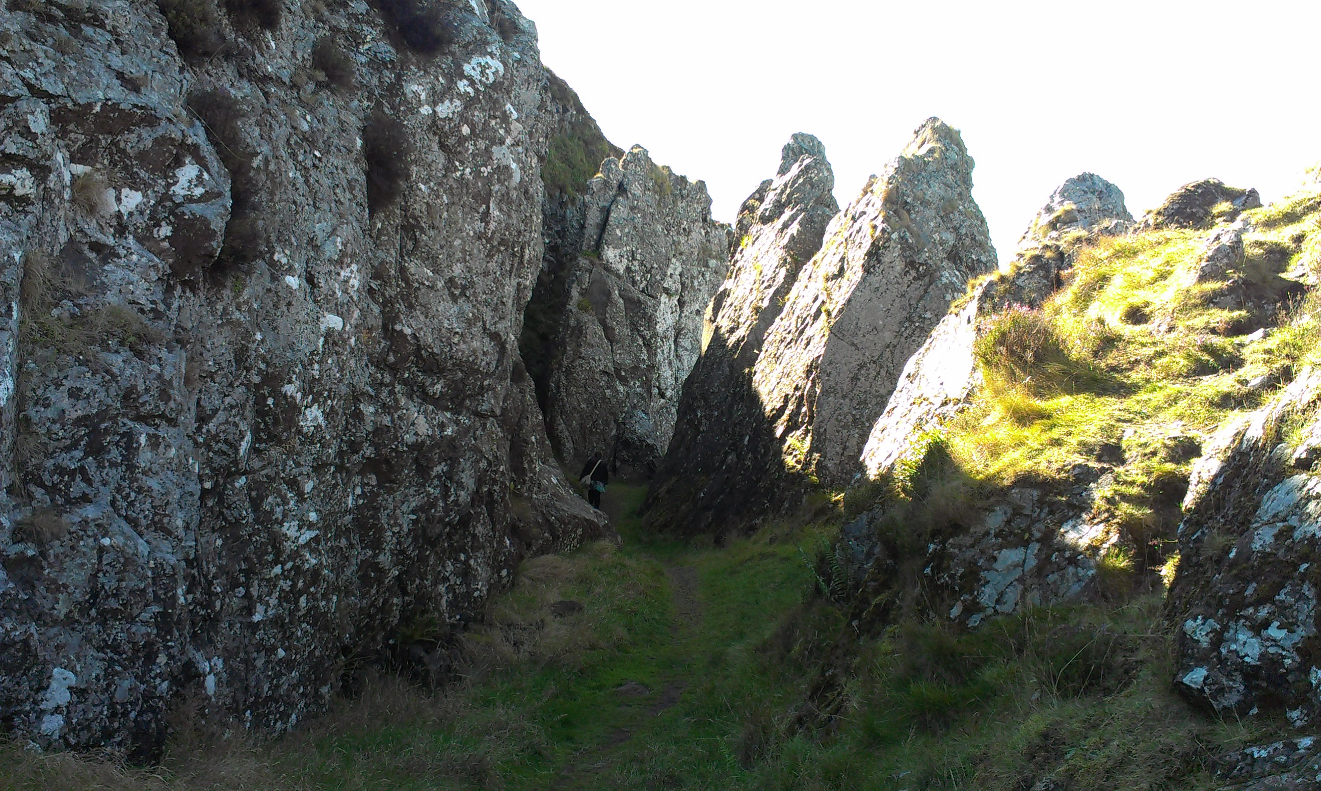 IMAG0549.jpg
