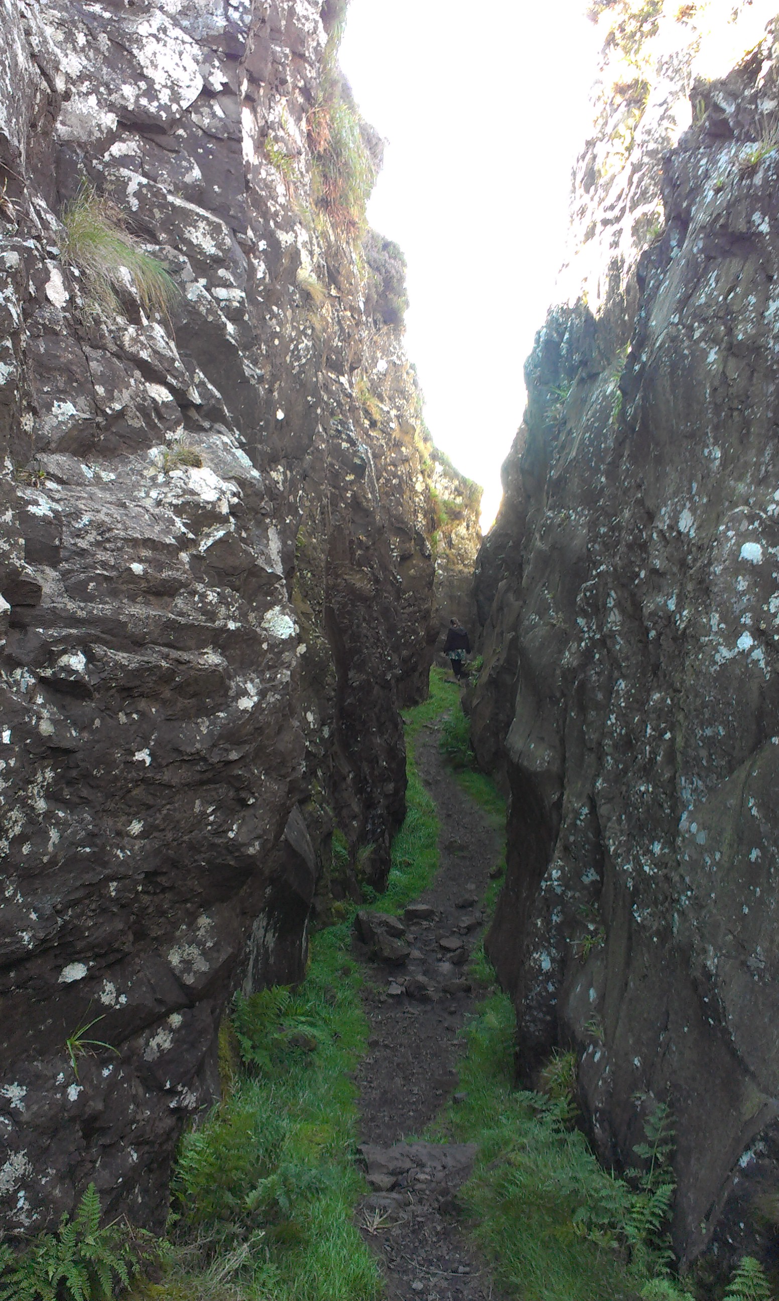IMAG0555.jpg