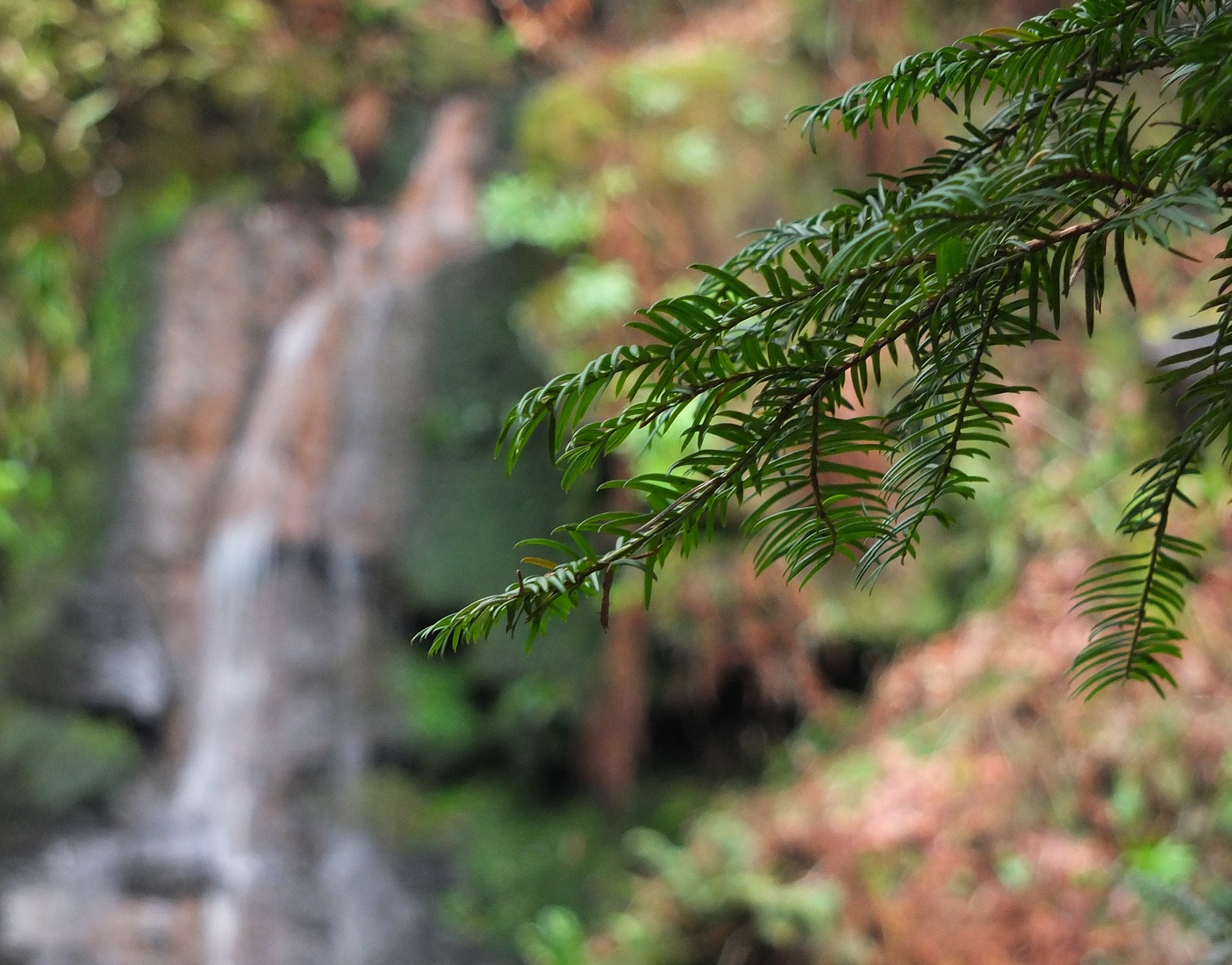 DSCF4709.jpg