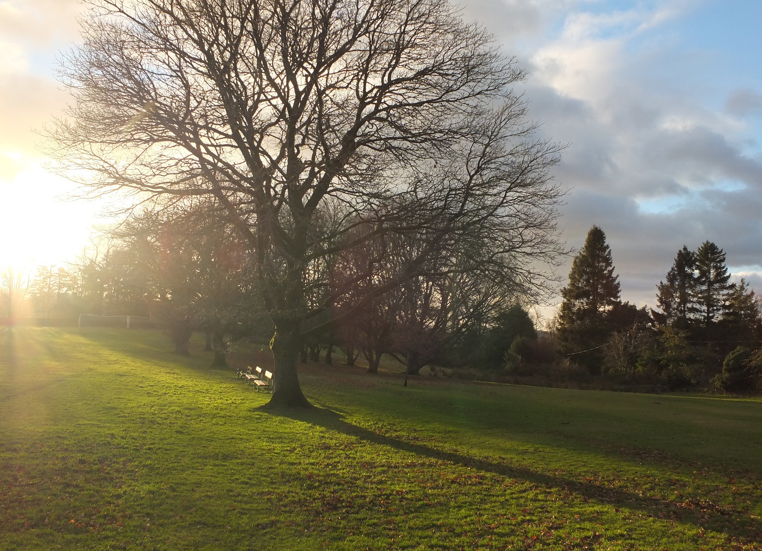 DSCF4817.jpg