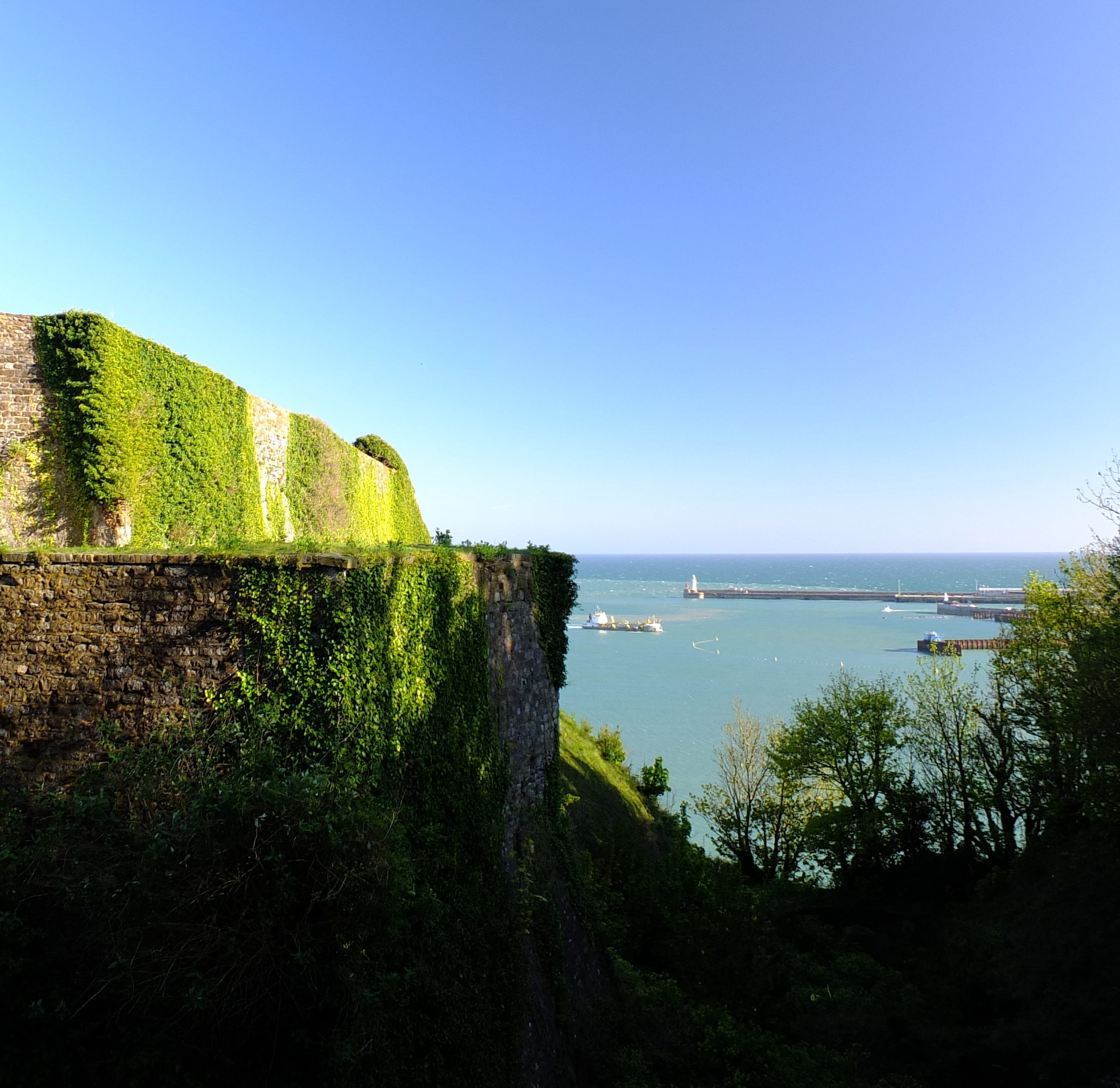 dover_1.jpg